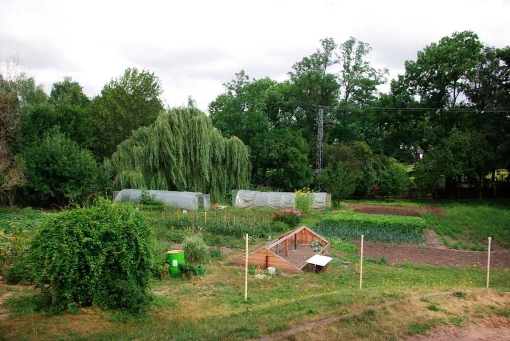 Hinterhof eines Bauernhofs mit vielen Bäumen, Wiese, mehreren Gewächshäusern und kleinen Ackerflächen zum Vermitteln von praktischem Wissen an Schulklassen