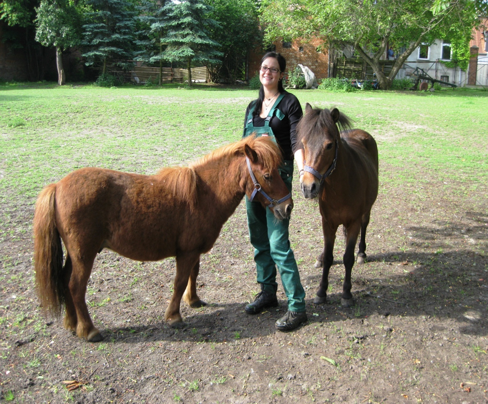 Mitarbeiterin eines Bauernhofs, die sich um zwei Ponys auf einer Pferdekoppel kümmert