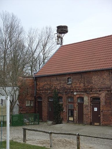 Storchennest auf rotem Ziegeldach im Innenhof eines Bauernhofs