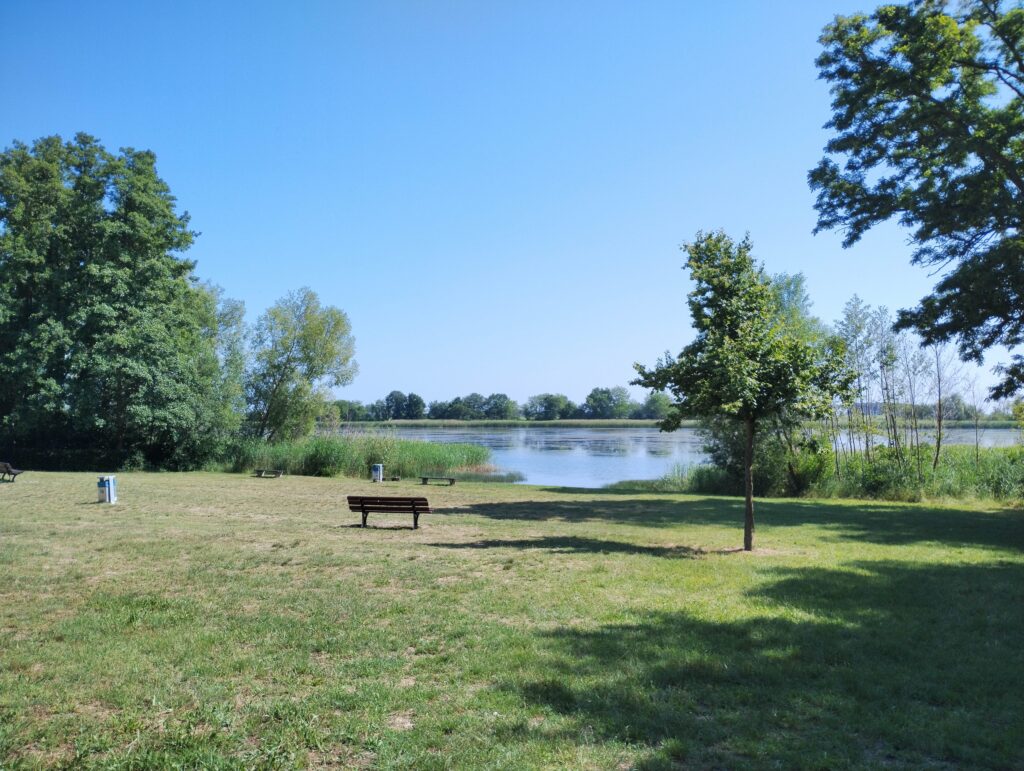 Große Liegewiese an der Badestelle eines Sees mit einigen Bäumen