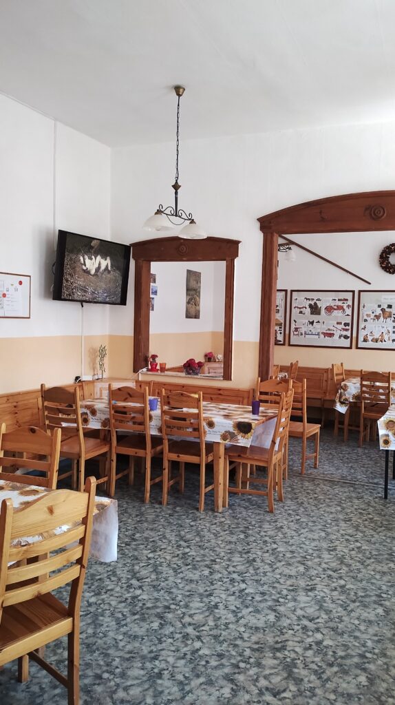 Speisesaal mit Holzstühlen und einem Fernseher, der einen Livestream aus dem Storchennest überträgt